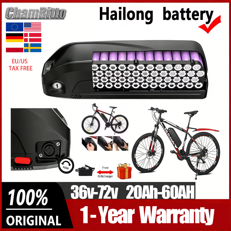 Ebike Battery 48V 20Ah Hailong - 36V 48V 52V電動自転車用Hailongバッテリー 電動バイク 1000W 20Ah