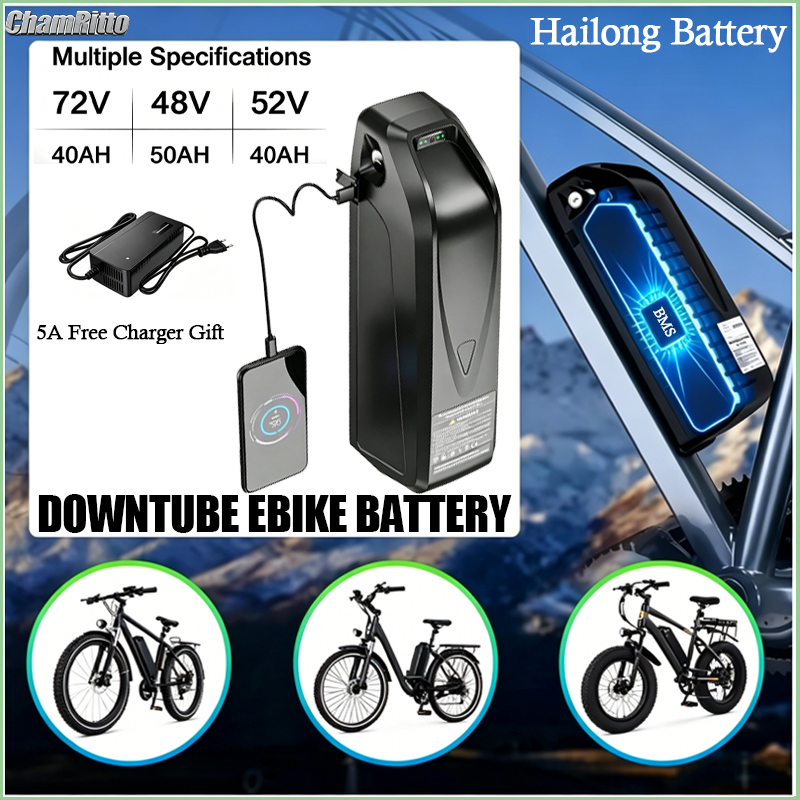 Ebike Battery 48V 20Ah Hailong - 電動自転車バッテリー Hailong 48V 72V 52V 50AH